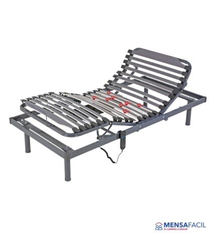 SOMIER ARTICULADO CON MOTOR